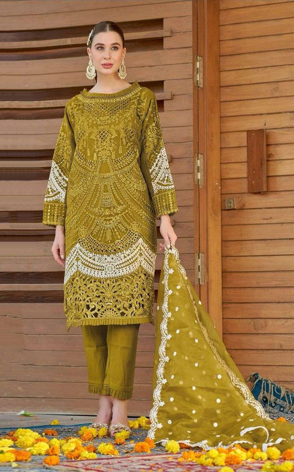 Orgenza Embroidery Work Designer Pakistani Salwar Suit